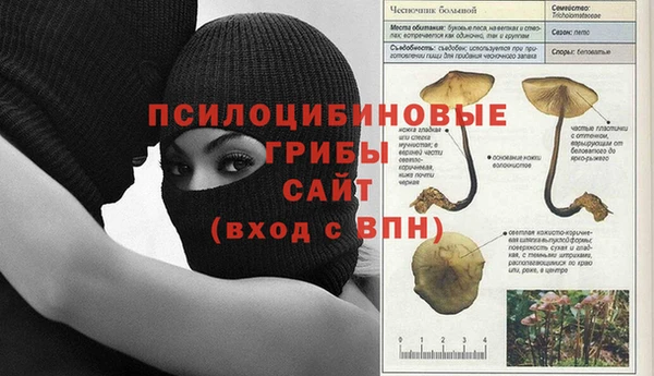спайс Беломорск