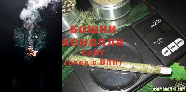 2c-b Белокуриха