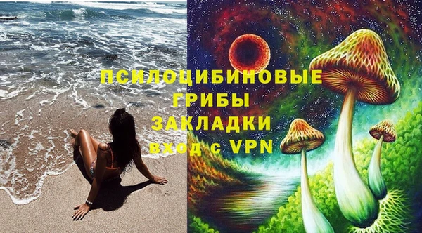 спайс Беломорск